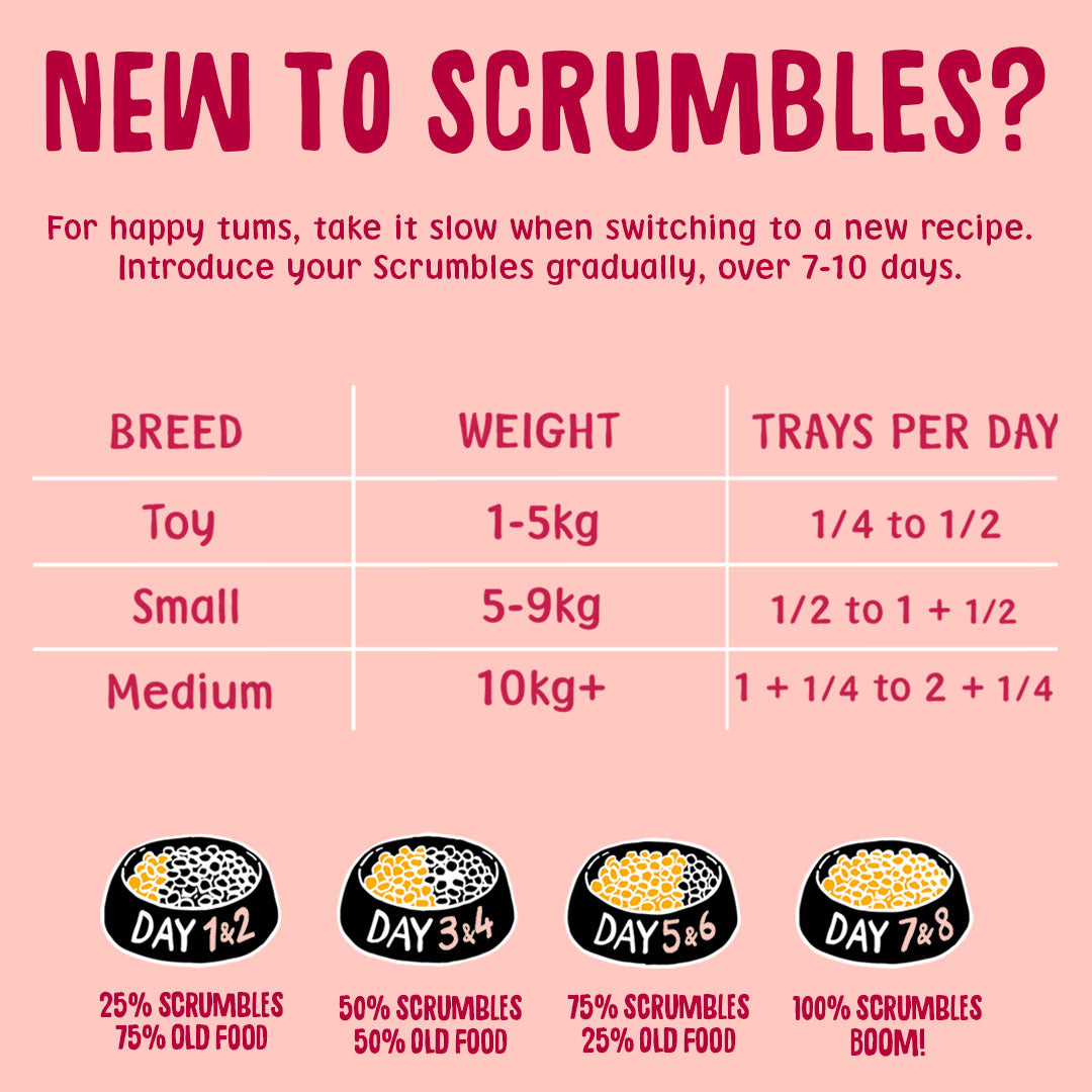 Instructional chart for introducing Scrumbles pet food gradually over 7-10 days on a pink background.