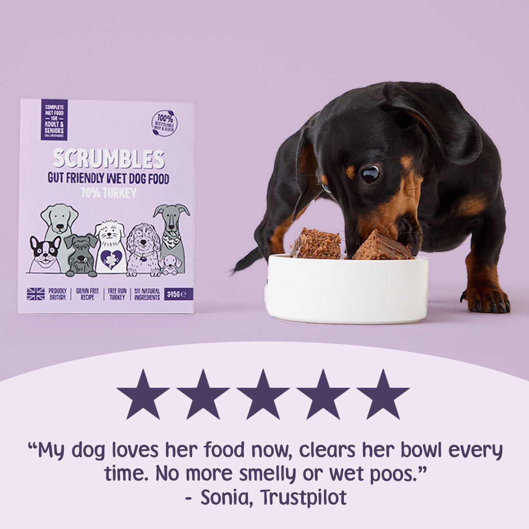 Dog eating from a bowl with Scrumbles dog food packaging and a five-star review on a light purple background.