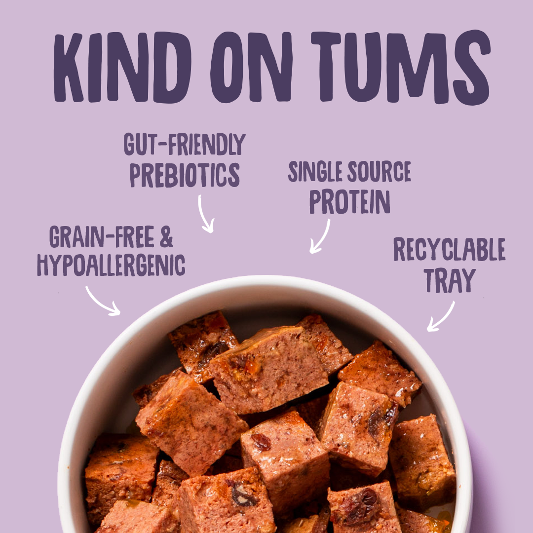 Bowl of brown cubes with 'Kind on Tums' text highlighting benefits on a purple background