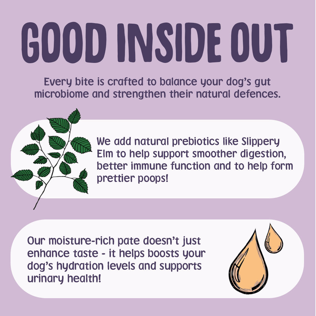 Advertisement for a pet product on a purple background with text and graphics about gut health and digestion.