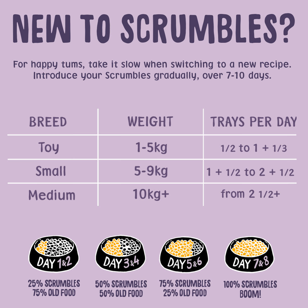 Instructions for introducing Scrumbles pet food gradually with a chart on a purple background