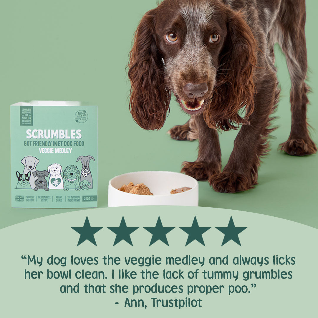 Dog standing next to a bowl of Scrumbles dog food with a five-star rating and customer review on a green background.