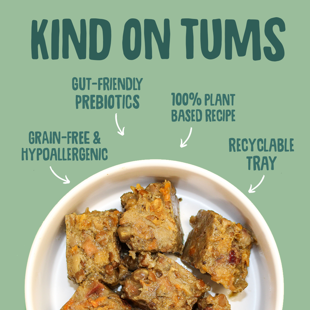 Plate of food with 'Kind on Tums' text highlighting benefits on a green background