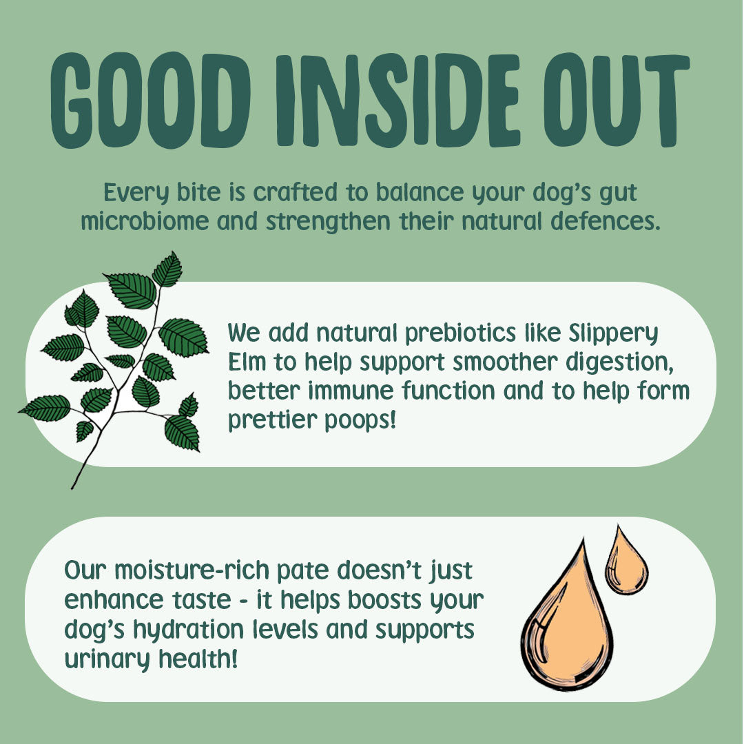 Product description for a pet food brand on a green background with text and graphics.
