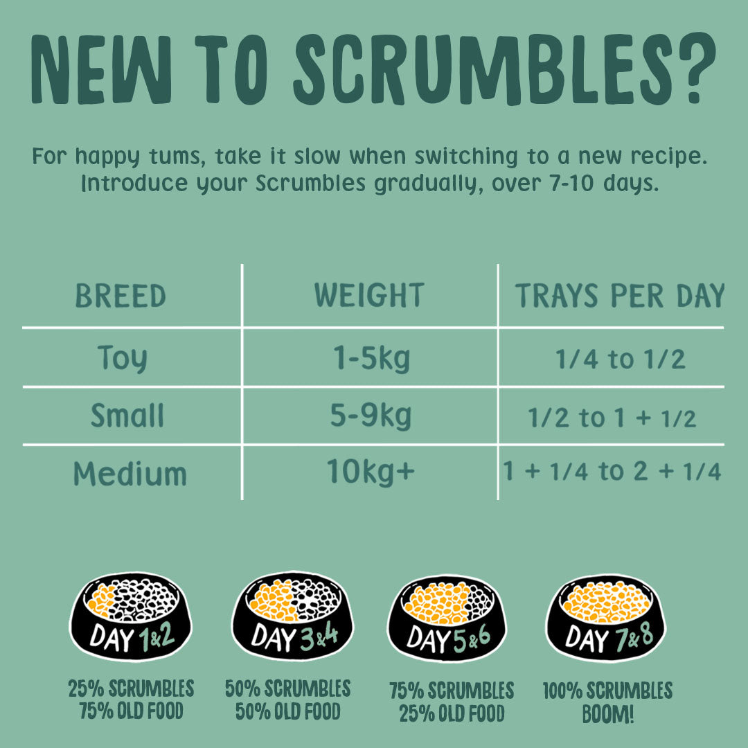 Instructional chart for introducing Scrumbles pet food gradually with breed-specific recommendations.