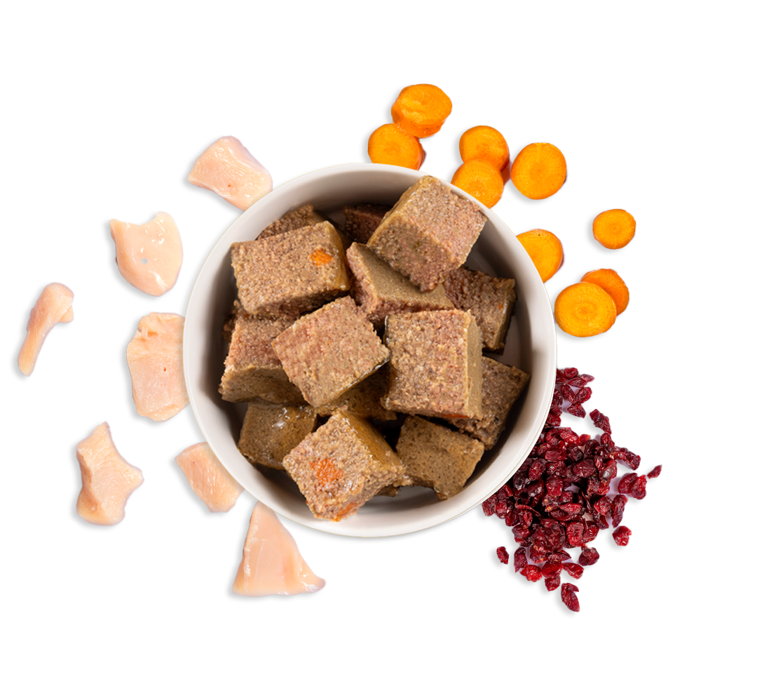 veg wet dog food