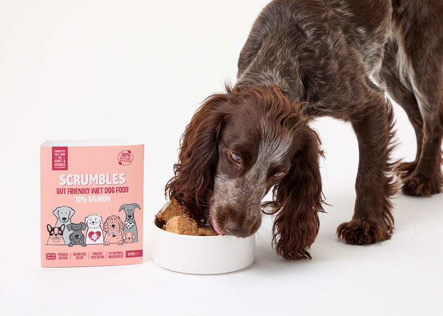 dog eating scrumbles grain free wet dog food