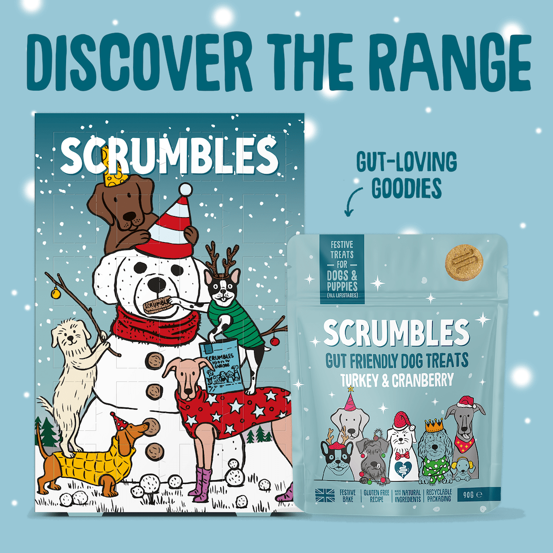 Christmas Turkey & Cranberry Softies Dog Treats Range