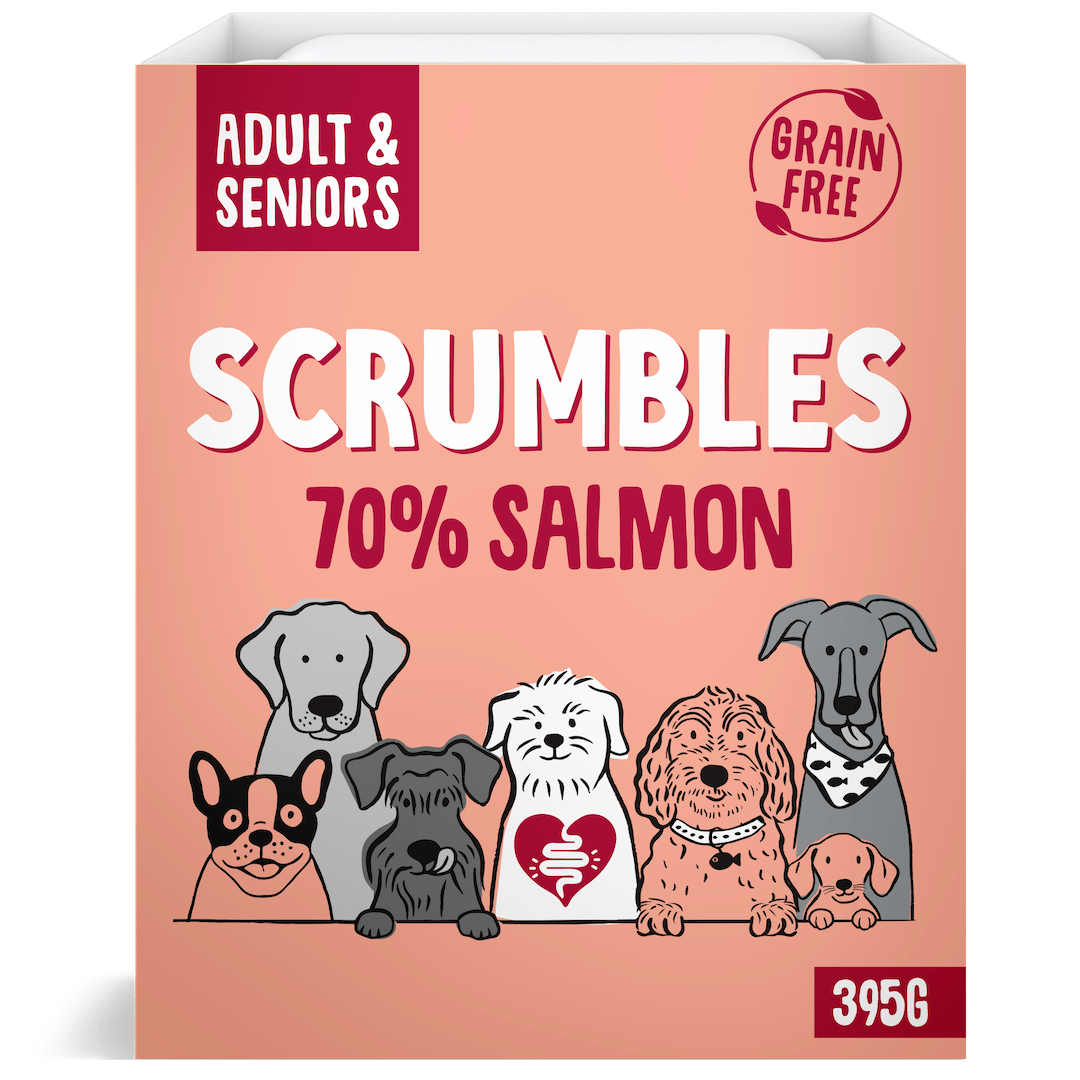 Salmon Wet Dog Food