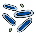 prebiotics and probiotics
